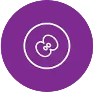 Ovarian & Uterine Cancer Immunotherapy